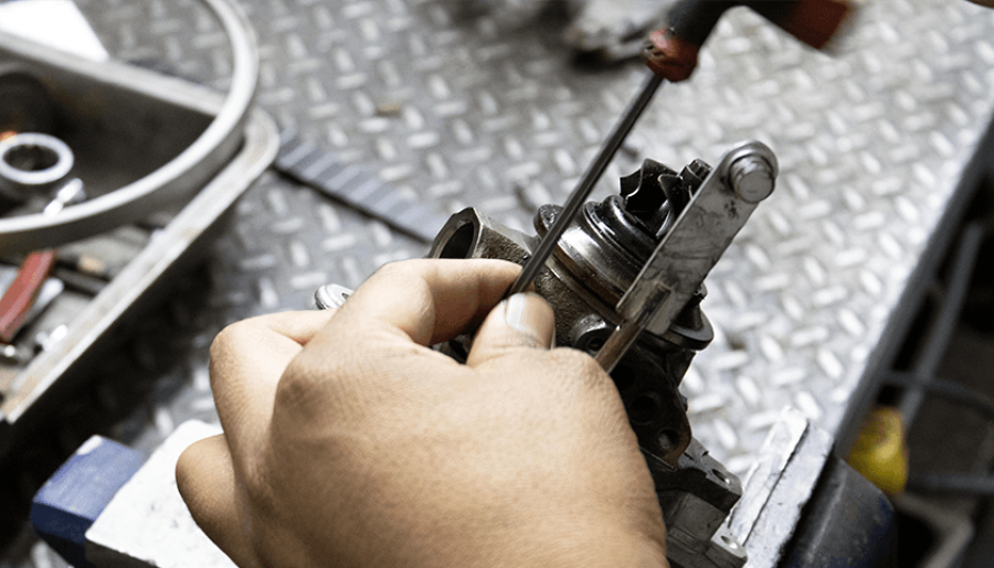 WhatsApp Image 2025-02-06 at 4.35.01 PM