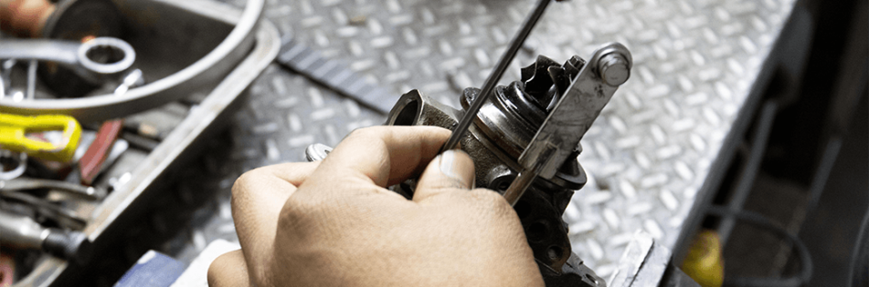 WhatsApp Image 2025-02-06 at 4.35.01 PM